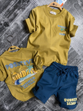 Fashion Summer Short Sleeve 2pcs Set